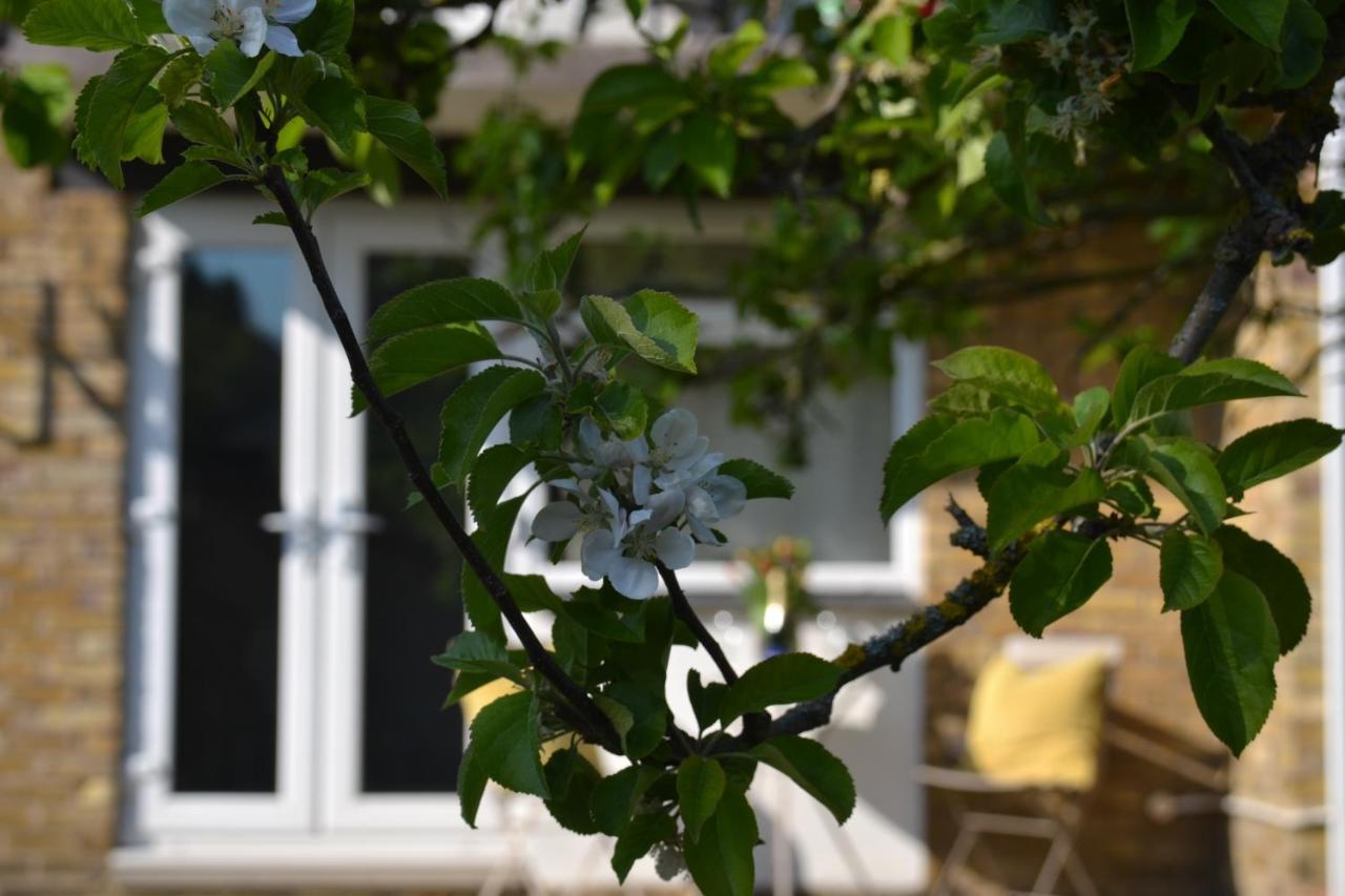 Epicsa - Family & Corporate Stay Mews Apartments With Free Parking CBG Exterior foto